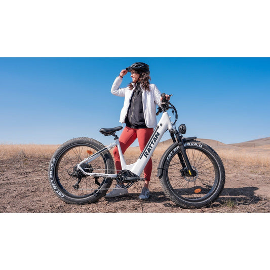 Categories of ebikes