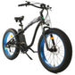 Ecotric ebikes UL Certified-Ecotric Hammer Electric Fat Tire Beach Snow Bike