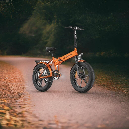 Engwe ebikes Engwe EP-2 Pro