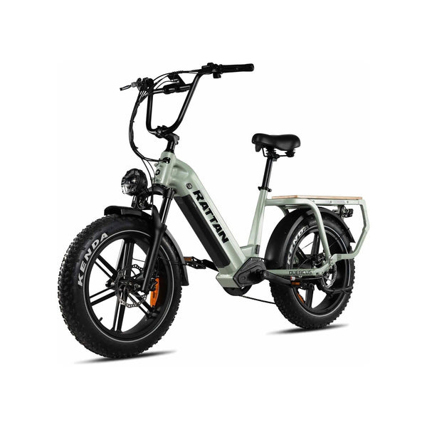 Rattan ebikes Rattan Quercus