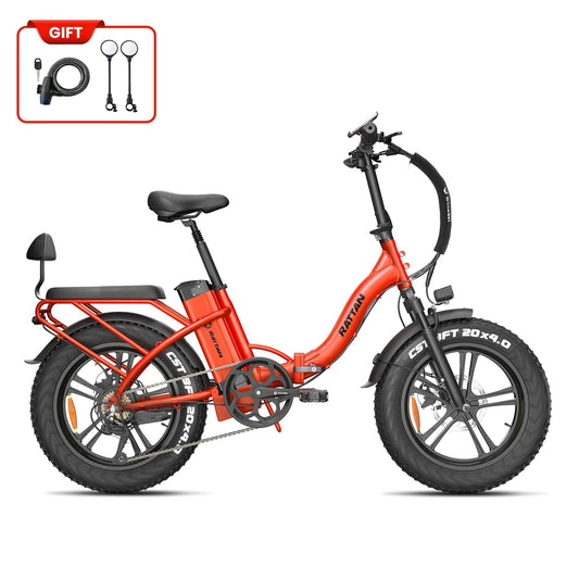 Rattan ebikes Rattan LF 750 Pro