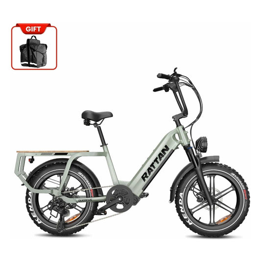 Rattan ebikes Rattan Quercus