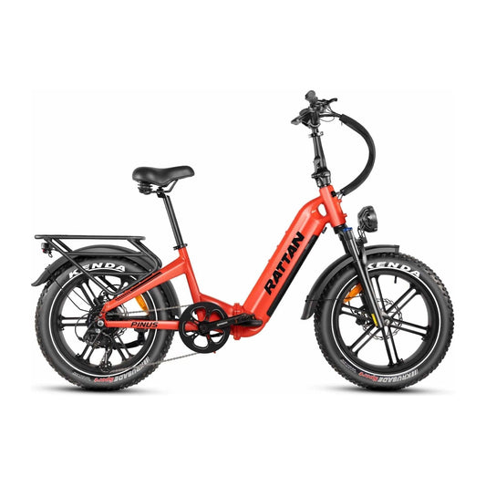 Rattan ebikes Red Rattan Pinus