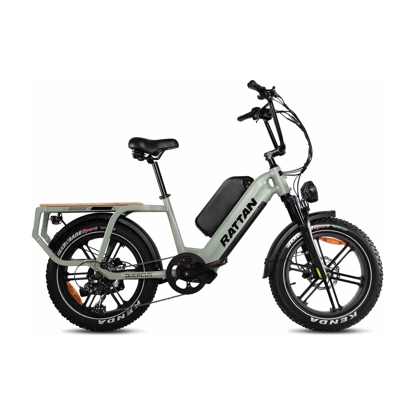 Rattan ebikes Rattan Quercus