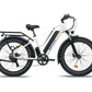 Senada ebikes Senada Herald Plus