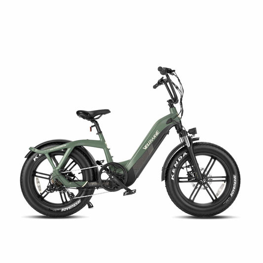 Velowave ebikes Velowave Pony Step-Thru Ebike