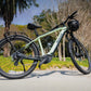 Velowave ebikes Velowave Swift M Mid-Drive Ebike